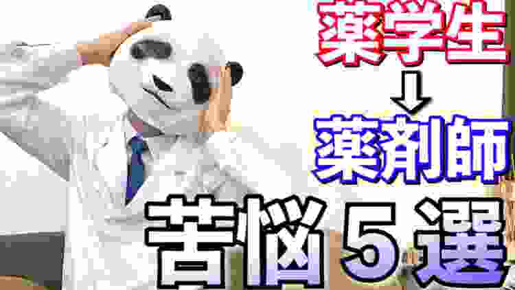 【薬学生→薬剤師】働いてから苦労したこと感じたこと5選！仕事は大変！【パンダ先生】