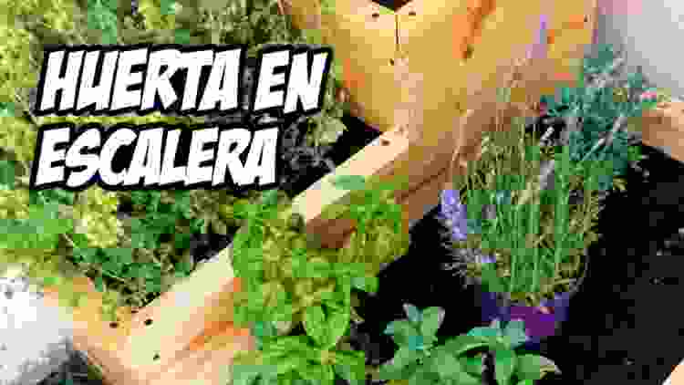 La MEJOR HUERTA en Escalera! (Cultiva Plantas Aromáticas) | La Huerta de Ivan