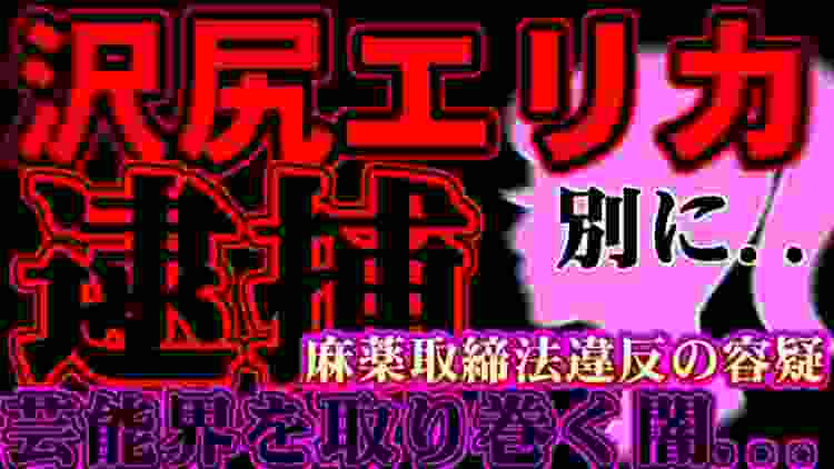 【沢尻エリカ逮捕】2012年には予見されていた..大麻やMDMA常習か？【麻薬取締法違反の容疑】