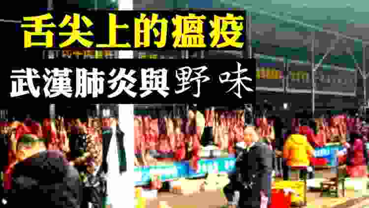 香港3人入院有驚無險，武漢病毒性肺炎威力如SARS！“野味”或成為疫病「灰犀牛」🦏；由疫情防治看武漢和香港🇭🇰「政治文化」差異  | 新聞拍案驚奇 大宇
