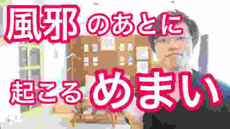 【大阪 めまい】風邪の後に起こるめまいの理由｜大阪府高石市の自律神経専門整体院 natura-ナチュラ-