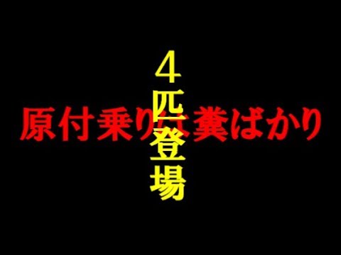 【ドラレコ】４匹の野糞