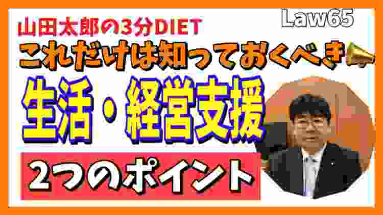 《Law65》これだけは知っておくべき、生活・経営支援❗️二つのポイント(2020年3月31日発信￼)