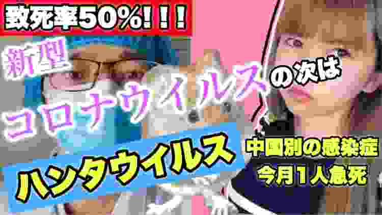 【致死率50％】ハンタウイルス‼️中国で別の感染症1人急死情報！新型コロナウイルスに続く驚異のウイルスか⁉️