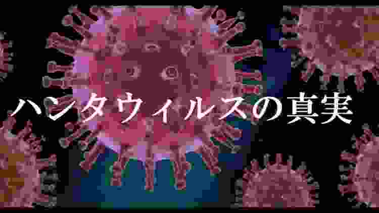 【映像解説】ハンタウイルスの真実