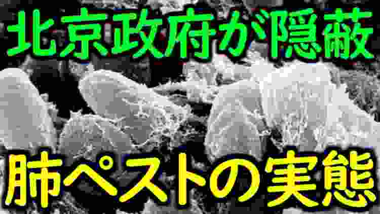 中国で話題の「肺ペスト」って何？