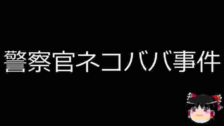 ゆっくりさんと日本事件簿 その134　警察官ネコババ事件、グランドパレス事件